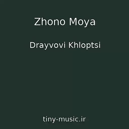 کاور آهنگ Zhono Moya از Drayvovі Khloptsі