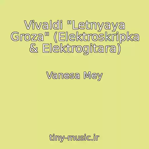 کاور آهنگ Vivaldi "Letnyaya Groza" (Elektroskripka & Elektrogitara) از Vanesa Mey