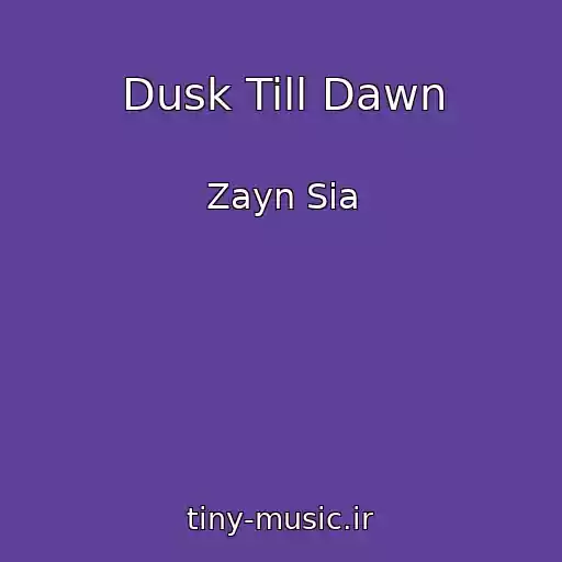 کاور آهنگ Dusk Till Dawn از Zayn Sia