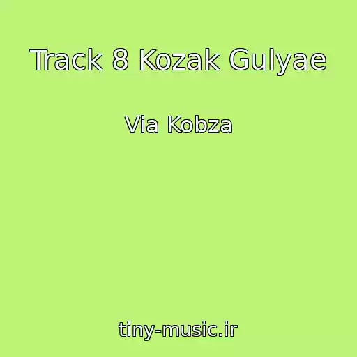 کاور آهنگ Track 8 Kozak Gulyae از Via Kobza