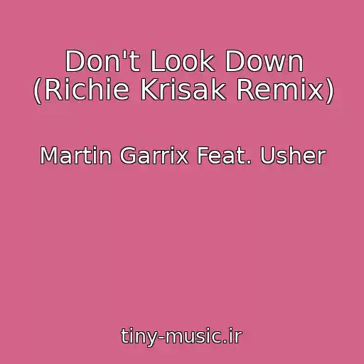 کاور آهنگ Don't Look Down (Richie Krisak Remix) از Martin Garrix Feat. Usher
