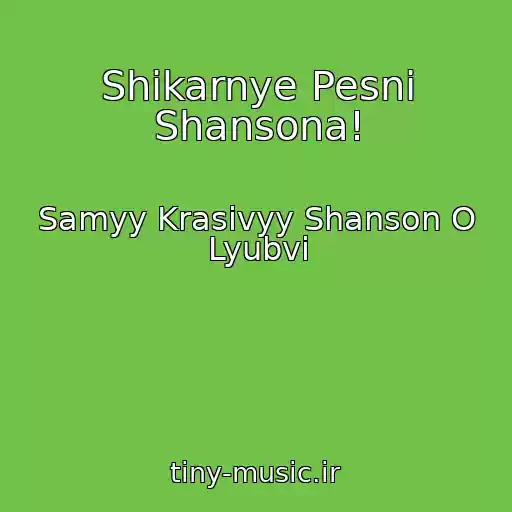 کاور آهنگ Shikarnye Pesni Shansona! از Samyy Krasivyy Shanson O Lyubvi