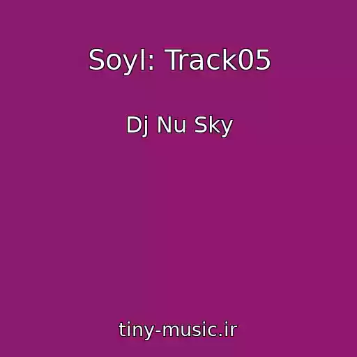 کاور آهنگ Soyl: Track05 از Dj Nu Sky