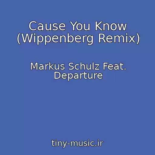 کاور آهنگ Cause You Know (Wippenberg Remix) از Markus Schulz Feat. Departure