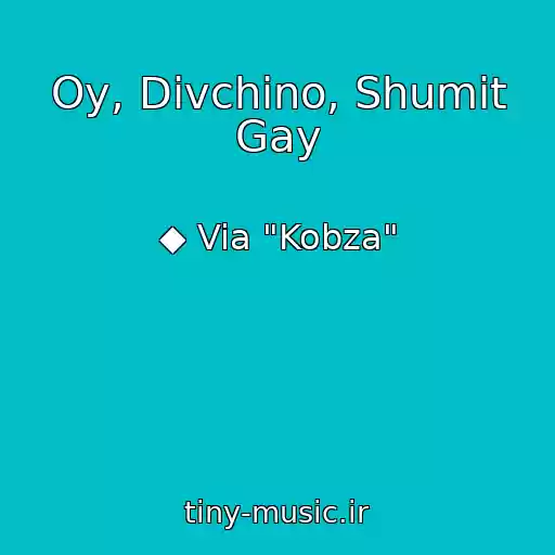 کاور آهنگ Oy, Divchino, Shumit Gay از ◆ Via "Kobza"
