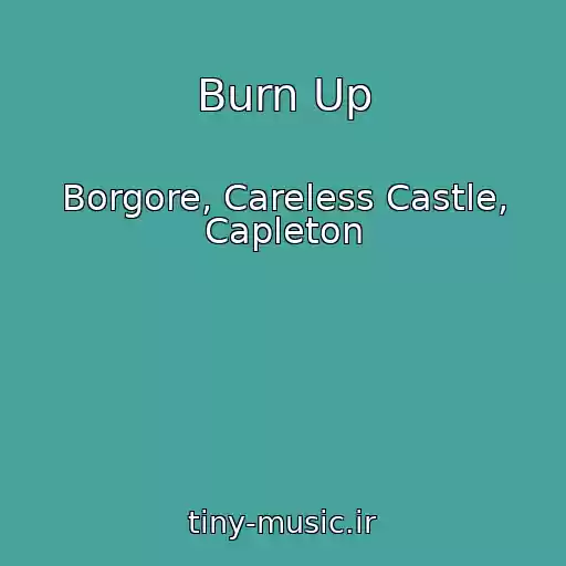 کاور آهنگ Burn Up از Borgore, Careless Castle, Capleton