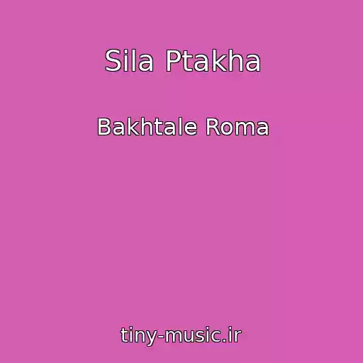 کاور آهنگ Sila Ptakha از Bakhtale Roma