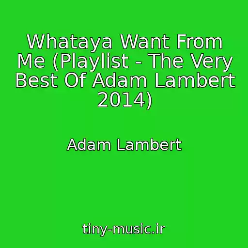 کاور آهنگ Whataya Want From Me (Playlist - The Very Best Of Adam Lambert 2014) از Adam Lambert