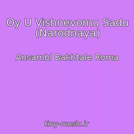 کاور آهنگ Oy U Vishnevomu Sadu (Narodnaya) از Ansambl Bakhtale Roma
