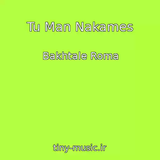 کاور آهنگ Tu Man Nakames از Bakhtale Roma