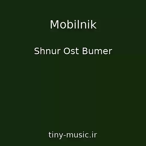 کاور آهنگ Mobilnik از Shnur Ost Bumer