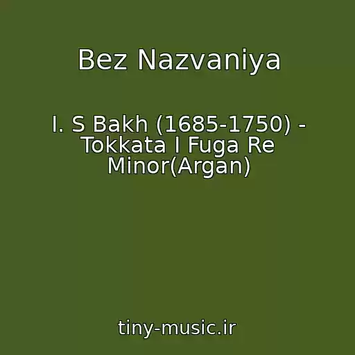 کاور آهنگ Bez Nazvaniya از I. S Bakh (1685-1750) - Tokkata I Fuga Re Minor(Argan)