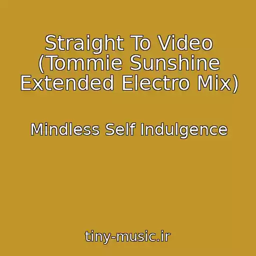 کاور آهنگ Straight To Video (Tommie Sunshine Extended Electro Mix) از Mindless Self Indulgence