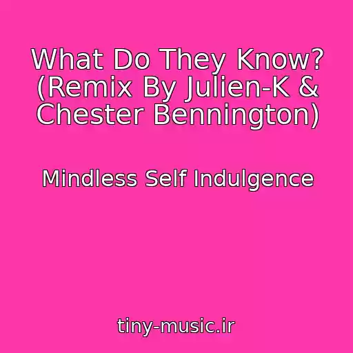 کاور آهنگ What Do They Know? (Remix By Julien-K & Chester Bennington) از Mindless Self Indulgence