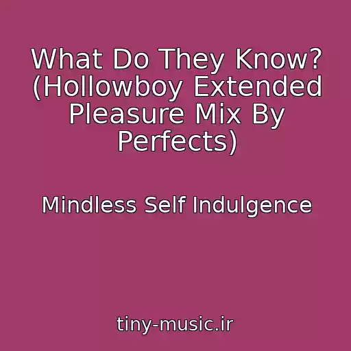 کاور آهنگ What Do They Know? (Hollowboy Extended Pleasure Mix By Perfects) از Mindless Self Indulgence