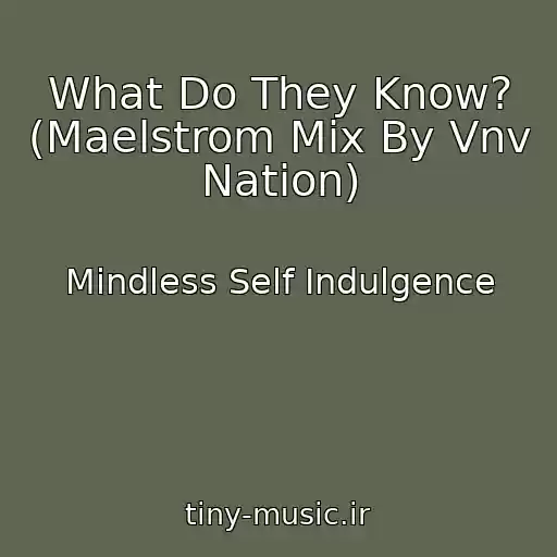 کاور آهنگ What Do They Know? (Maelstrom Mix By Vnv Nation) از Mindless Self Indulgence