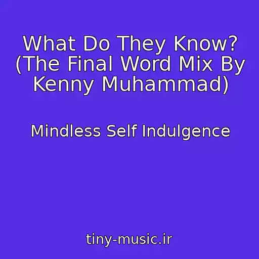 کاور آهنگ What Do They Know? (The Final Word Mix By Kenny Muhammad) از Mindless Self Indulgence