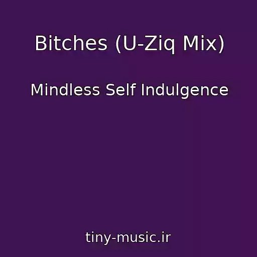 کاور آهنگ Bitches (U-Ziq Mix) از Mindless Self Indulgence