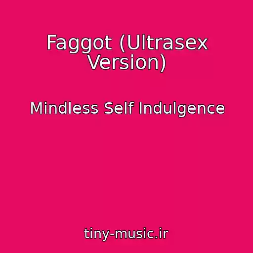 کاور آهنگ Faggot (Ultrasex Version) از Mindless Self Indulgence