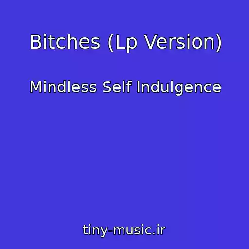 کاور آهنگ Bitches (Lp Version) از Mindless Self Indulgence