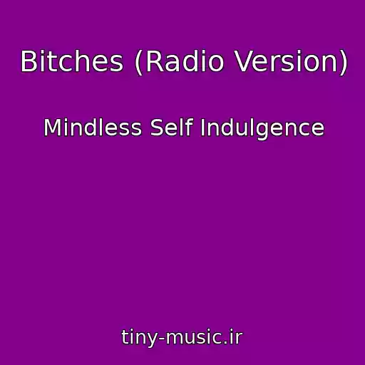 کاور آهنگ Bitches (Radio Version) از Mindless Self Indulgence
