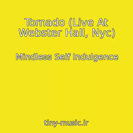 کاور آهنگ Tornado (Live At Webster Hall, Nyc) از Mindless Self Indulgence