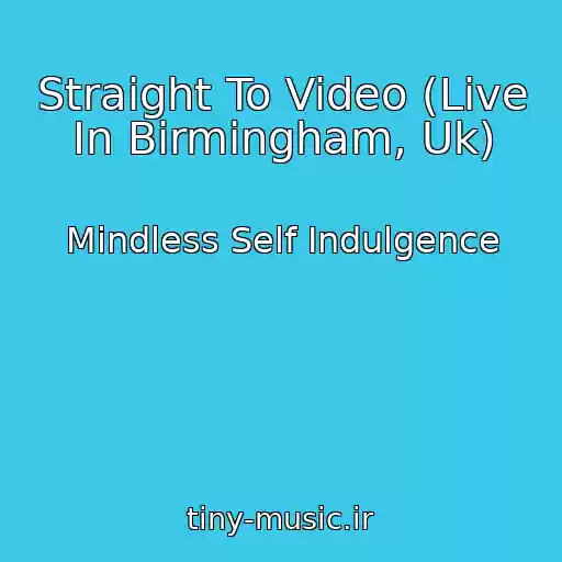 کاور آهنگ Straight To Video (Live In Birmingham, Uk) از Mindless Self Indulgence
