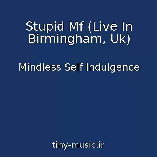 کاور آهنگ Stupid Mf (Live In Birmingham, Uk) از Mindless Self Indulgence