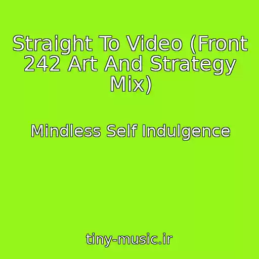 کاور آهنگ Straight To Video (Front 242 Art And Strategy Mix) از Mindless Self Indulgence