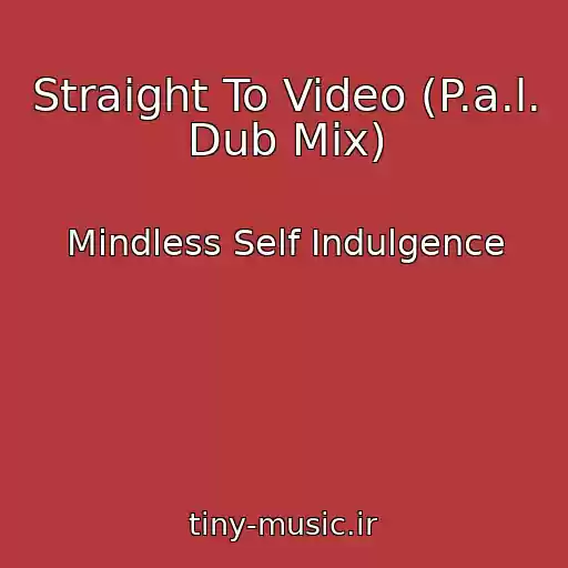 کاور آهنگ Straight To Video (P.a.l. Dub Mix) از Mindless Self Indulgence