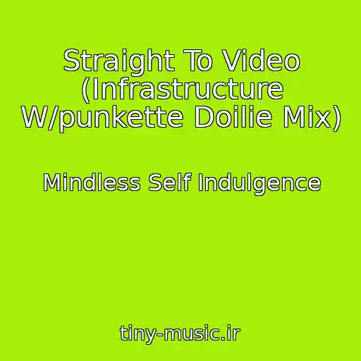 کاور آهنگ Straight To Video (Infrastructure W/punkette Doilie Mix) از Mindless Self Indulgence