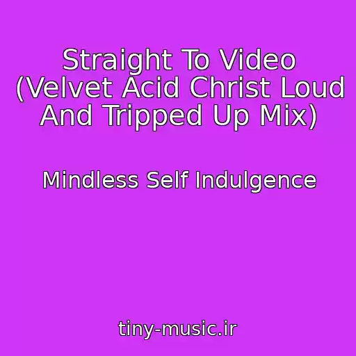 کاور آهنگ Straight To Video (Velvet Acid Christ Loud And Tripped Up Mix) از Mindless Self Indulgence
