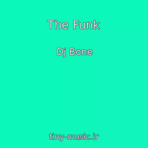 کاور آهنگ The Funk از Dj Bone