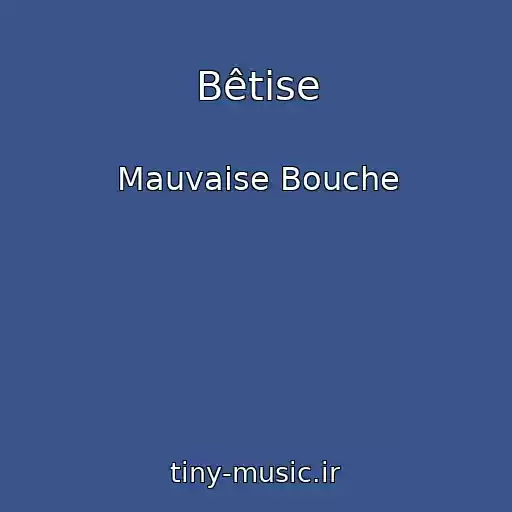 کاور آهنگ Bêtise از Mauvaise Bouche