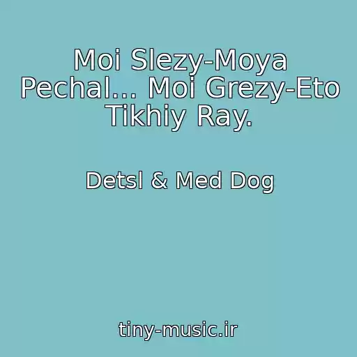 کاور آهنگ Moi Slezy-Moya Pechal... Moi Grezy-Eto Tikhiy Ray. از Detsl & Med Dog