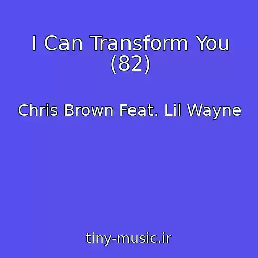 کاور آهنگ I Can Transform You (82) از Chris Brown Feat. Lil Wayne