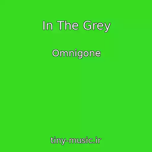 کاور آهنگ In The Grey از Omnigone