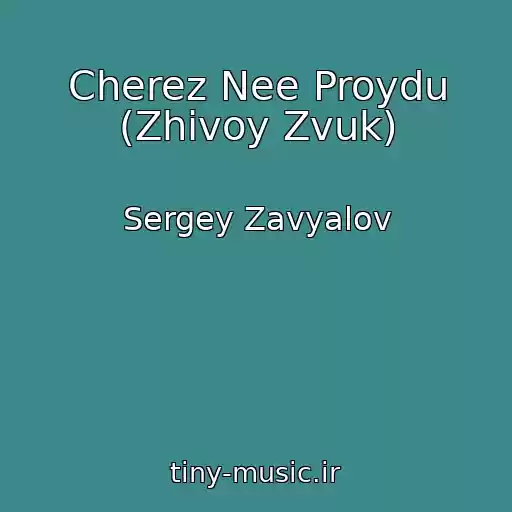کاور آهنگ Cherez Nee Proydu (Zhivoy Zvuk) از Sergey Zavyalov