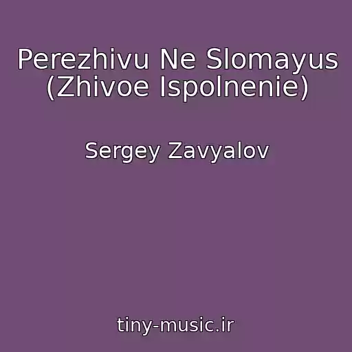 کاور آهنگ Perezhivu Ne Slomayus (Zhivoe Ispolnenie) از Sergey Zavyalov