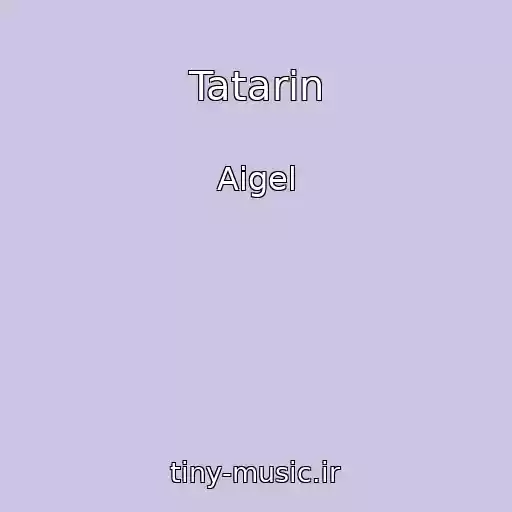 کاور آهنگ Tatarin از Aigel