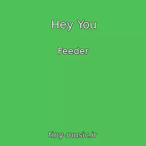 کاور آهنگ Hey You از Feeder