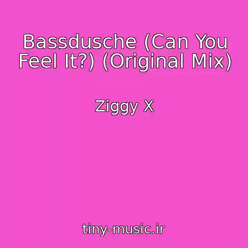 کاور آهنگ Bassdusche (Can You Feel It?) (Original Mix) از Ziggy X