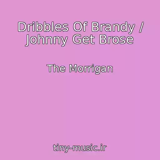 کاور آهنگ Dribbles Of Brandy / Johnny Get Brose از The Morrigan