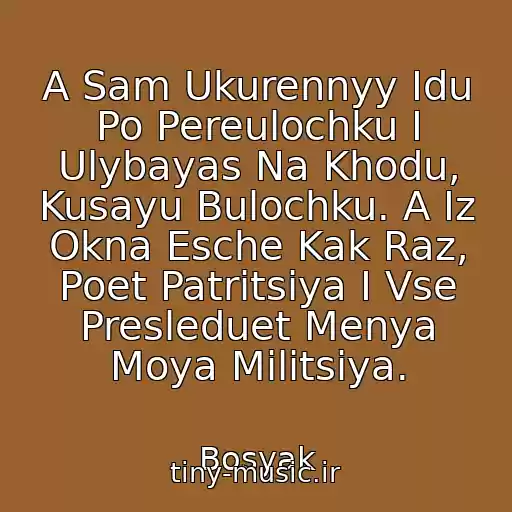 کاور آهنگ A Sam Ukurennyy Idu Po Pereulochku I Ulybayas Na Khodu, Kusayu Bulochku. A Iz Okna Esche Kak Raz, Poet Patritsiya I Vse Presleduet Menya Moya Militsiya. از Bosyak
