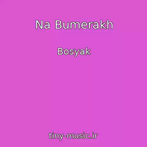 کاور آهنگ Na Bumerakh از Bosyak