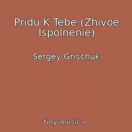 کاور آهنگ Pridu K Tebe (Zhivoe Ispolnenie) از Sergey Grischuk