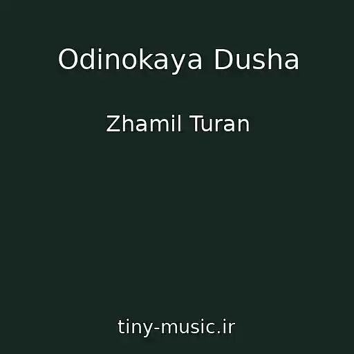 کاور آهنگ Odinokaya Dusha از Zhamil Turan