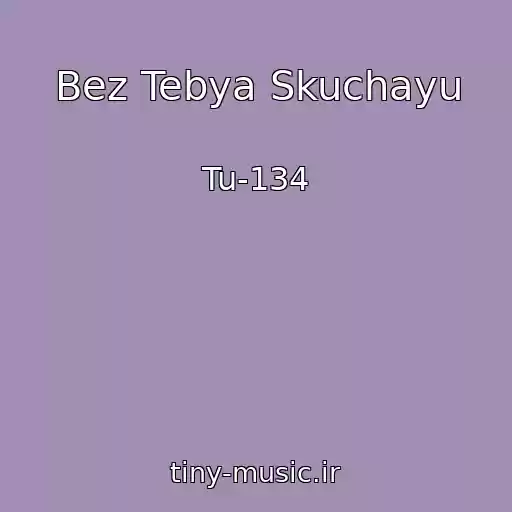 کاور آهنگ Bez Tebya Skuchayu از Tu-134