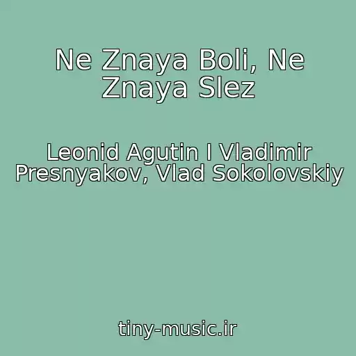 کاور آهنگ Ne Znaya Boli, Ne Znaya Slez از Leonid Agutin I Vladimir Presnyakov, Vlad Sokolovskiy