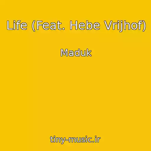 کاور آهنگ Life (Feat. Hebe Vrijhof) از Maduk